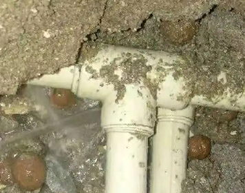 西青测漏水多少钱